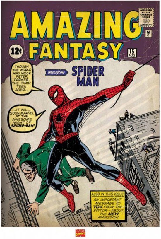 Pyramid Poster - Spider-man Issue - 80 x 60 cm - Multicolor