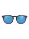 Alsteca Wynwood C23 Zonnebril Zwart