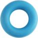 Black Diamond Forearm Trainer turquoise