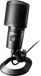 Audio-Technica AT2020USB-XP USB Condenser Mic with Stand & Pop-Filter (Black)