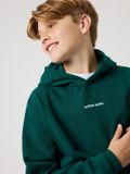 Björn Borg Classic Hoodie Jongens Trui met Capuchon Kinderen - Rain Forest Groen - Maat 146-152