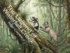 The Libri GmbH The Legend of Waterfall Creek Paperback