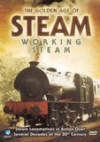 The Golden Age Of Steam - Working Steam [DVD]