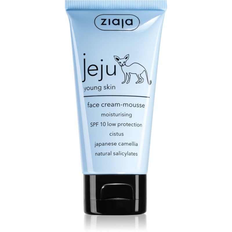 Jeju Young Skin
