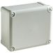 Schneider Electric boîtier industriel NSYTBS241910H