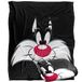 LOONEY TUNES Silky Touch Superzachte plaid, 152 x 127 cm