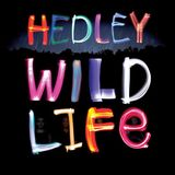 Wild Universal Wild Life + 4