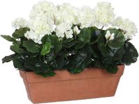 Mica Decorations Kunstplant Geranium Wit - H 40cm - Zandcement Sierpot