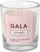 GALA geurkaars Wild Raspberry, frambozengeur, paraffine met palmolie, 70 mm