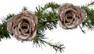 Billiet - Vanlaere Fleur de Noël sur clip - 2x pièce - champagne paillettes - plastique - 7 cm