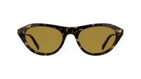 Karl Lagerfeld Women's Sunglasses - Tokyo Tortoise with Solid Brown Lens