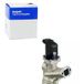 Delphi Technologieën EG10258-12B1 EGR-ventiel