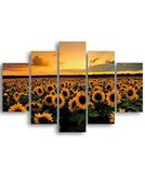Homemania Muurfoto, zonnebloemen, 5 stuks, natuur en landschap, voor woonkamer, meerkleurig, van MDF, 95 x 0,3 x 60 cm