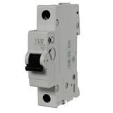 REV Ritter 0515736555 Ingebouwde Stroomonderbreker ABB, B, 1/16 A/