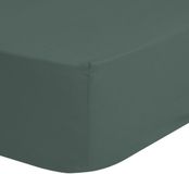 Good Morning Hoeslaken Effen Kleur - 1 Persoons 90x200 cm - Olijfgroen - 100% Katoen Renforce