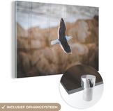 MuchoWow® Glass Painting 90x60 cm - Acrylic Glass Painting - Seagull - Bird - Sky - Photo on Glass - Paintings