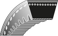 Ratioparts 52-136 aandrijfriem type 3 PZ 8 x 750 Ld V-riem