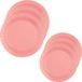 Santex Feest/verjaardag borden set - 20x stuks - roze - 17 cm en 22 cm