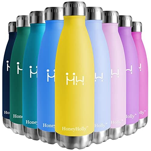 HoneyHolly Waterfles,Dubbelwandig Vacuüm Geïsoleerd Roestvrij Staal Thermosfles, Herbruikbare Lekvrij BPA-vrij Drinkfles 350ml/500ml/650ml/750ml voor Kinderen, Meisjes,Werk,Sport school,Reis