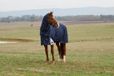 WeatherBeeta ComFiTec Ultra Turnout Detach-A-Neck 100G Navy 6'3 / 140 cm