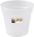 Elho Green Basics Orchidee 13cm - Transparant