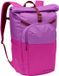 VAUDE Okab II Sac à dos Unisexe Sac à dos de sport d'extérieur 25L Rose