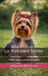 Le Yorkshire Terrier: Petit chien, grand caractère