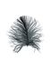 Komar Muurafbeelding | Feather White | Poster, afbeelding, woonkamer, slaapkamer, decoratie, kunstdruk | zonder lijst | P121A-30x40 | grootte: 30 x 40 cm (breedte x hoogte)