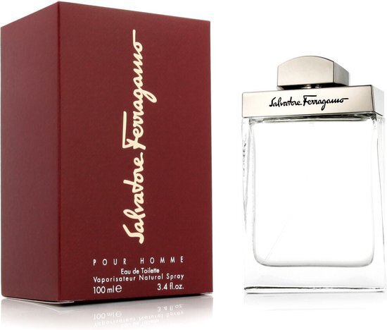 Salvatore Ferragamo Pour Homme eau de toilette / heren