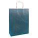 Raylu Paper® - 25 stuks kraftpapieren zakken met stevige handgrepen, 100% recyclebare papieren zakken om te winkelen, snoep of als verjaardagscadeau
