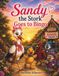 Sandy Icecat Sandy the Stork Goes to Bingo