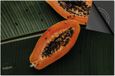 Dietrix Inductie Beschermer - 65x52cm - Groente en Fruit - Papaja