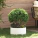 vidaXL Plantenring Wit 5 stuks 40 x 40 x 20 cm