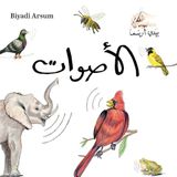 Biyadi Arsum 3 Sounds
