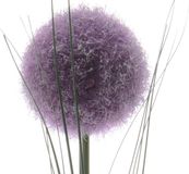 Decoris Kunstbloem Allium dia7-H66cm paars