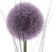 Decoris Kunstbloem Allium dia7-H66cm paars