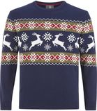 Jan Vanderstorm heren Trui - 60/62 - donkerblauw - Plus Size