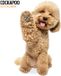 Magnet & Steel Cockapoo Modern Kalender 2027 Wandkalender Dieren
