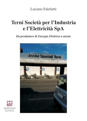 Terni Società per l'Industria e l'Elettricità SpA. Da produttore di energia elettrica a utente