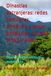 Dinastías extranjeras: redes familiares, comercio y poder político en Utuado (1762–1898)