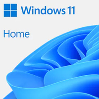 Microsoft Windows 11 Home - 1 licentie - Nederlands - ESD