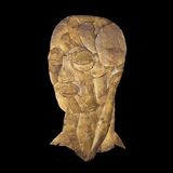 Euzebio (Lp)