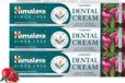 Himalaya Ayuverdic Neem & Pommegranate Dentifrice - 3 x 100g - Avec Fluorure - Sans Gluten