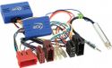 ACV GmbH CAN-Bus Set /Iso/Active2 Audi