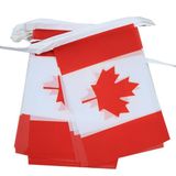 AZ FLAG Slinger Canada 6 m 20 vlaggen Licht Polyester 21x15 cm