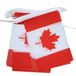 AZ FLAG Slinger Canada 6 m 20 vlaggen Licht Polyester 21x15 cm