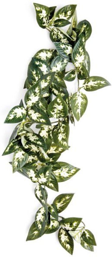 Komodo Borneo Hangende Varen - 40 cm