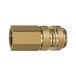 Riegler 419.06 Snelsluitkoppeling NW 19, messing blank, G 1 1/4 IG
