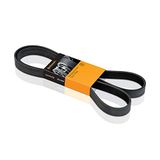 CONTITECH 6PK1548 V-geribbelde riem.
