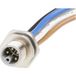 Molex 1205020022 Sensor/actuator inbouwconnector M16 Aantal polen (sensoren): 5 Stekker, inbouw 0.5 m 1 stuk(s) Bag